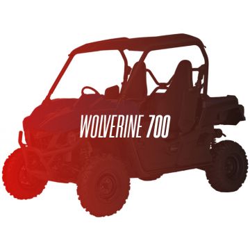 CW Motorsports Engine for Yamaha WOLVERINE/VIKING 700