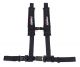 Trinity Racing 4-Point 2-Inch Auto Latch Harness