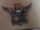 Off Road Beast Polaris RZR 900XP Hitch D-Ring