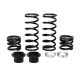 zBroz Polaris RZR Pro XP Tender Spring Kit for Walker Evans Shocks