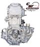 CW Motorsports Engine for Polaris SPORTSMAN/RGR Old 500 13' & EARLIER