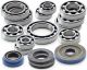 TRANSMISSION BEARING & SEAL COMBO KIT – 2014-2024 RZR XP 1000