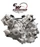 CW Motorsports Engine for Kawasaki TERYX 800