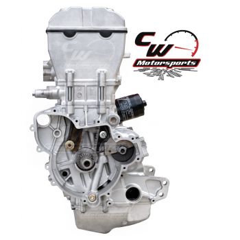 CW Motorsports Engine for Polaris ACE/RGR/RZR 900