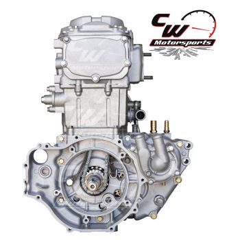 CW Motorsports Engine for Polaris SPORTSMAN/RGR Old 500 13' & EARLIER