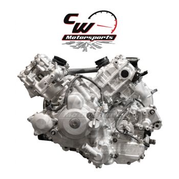 CW Motorsports Engine for Kawasaki TERYX 800