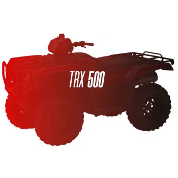 CW Motorsports Engine for Honda TRX 500